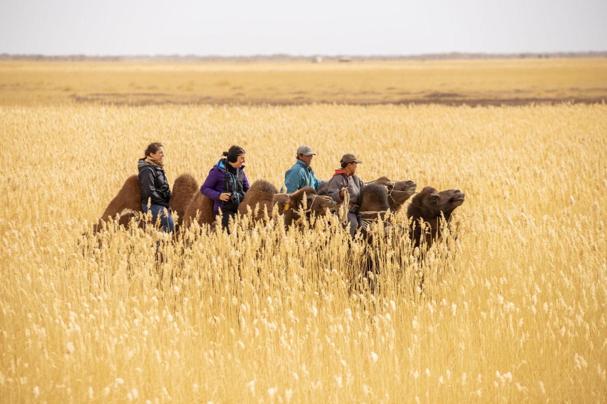 Gobi-Girl Hotel Уланбатар Екстериор снимка
