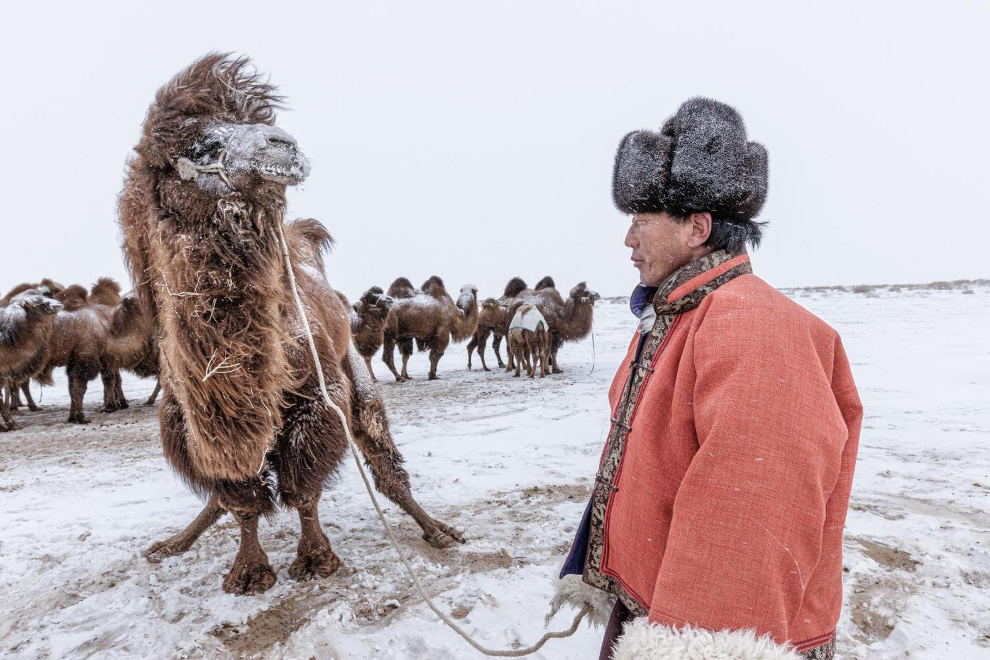 Gobi-Girl Hotel Уланбатар Екстериор снимка