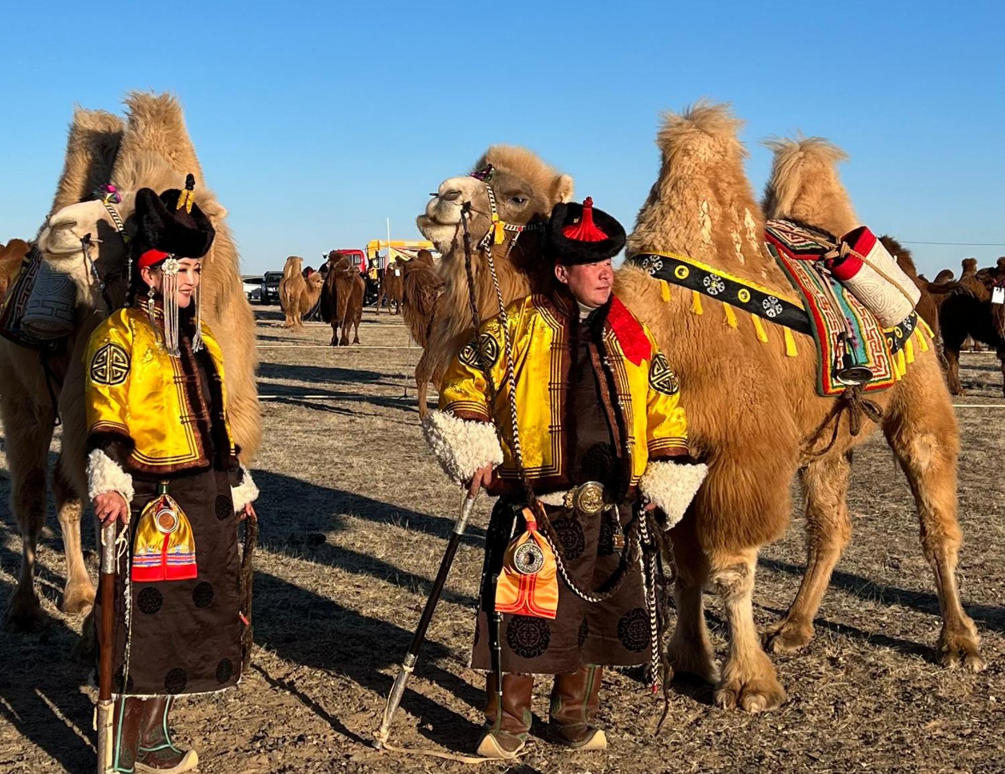 Gobi-Girl Hotel Уланбатар Екстериор снимка