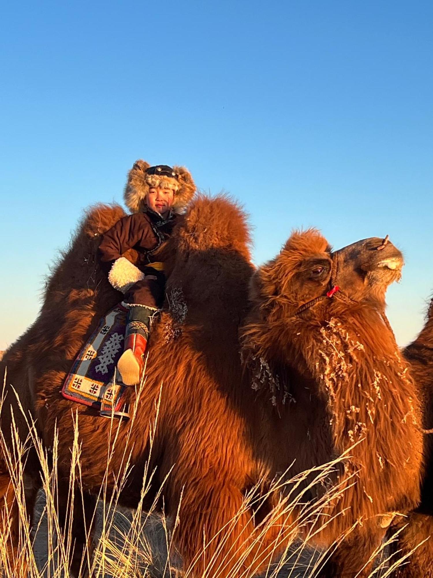 Gobi-Girl Hotel Уланбатар Екстериор снимка